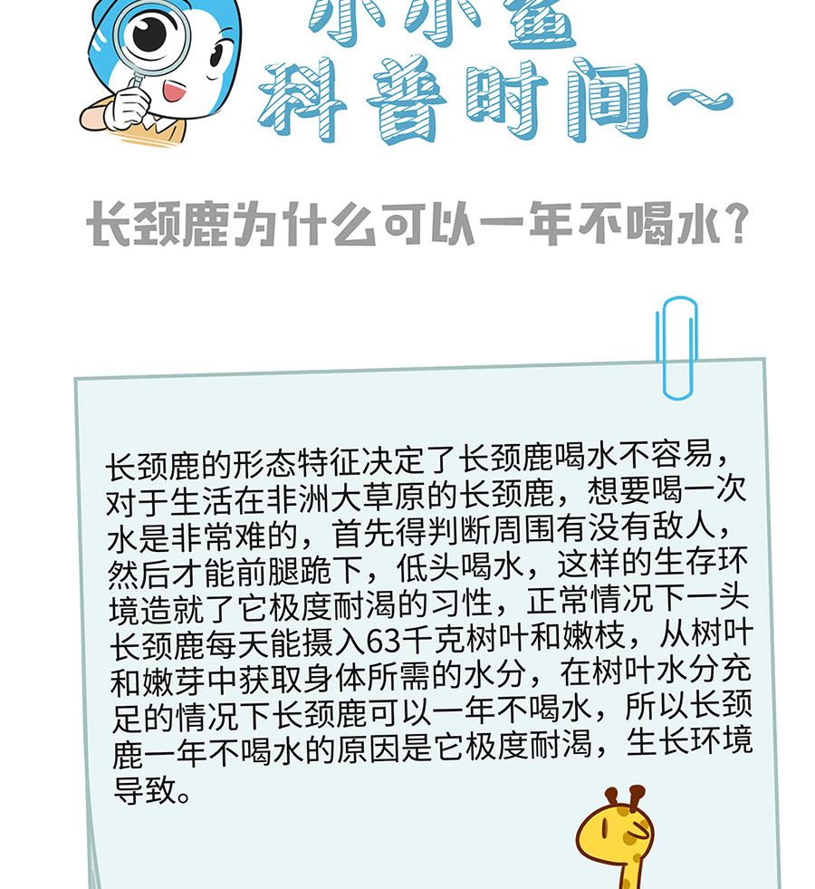 第一百零一话 悄悄话-第101话