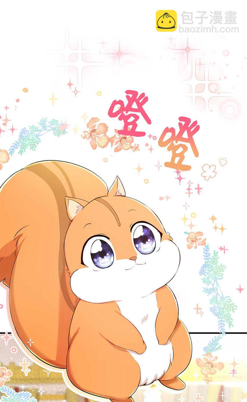 序章 小松鼠冲鸭！-第1话