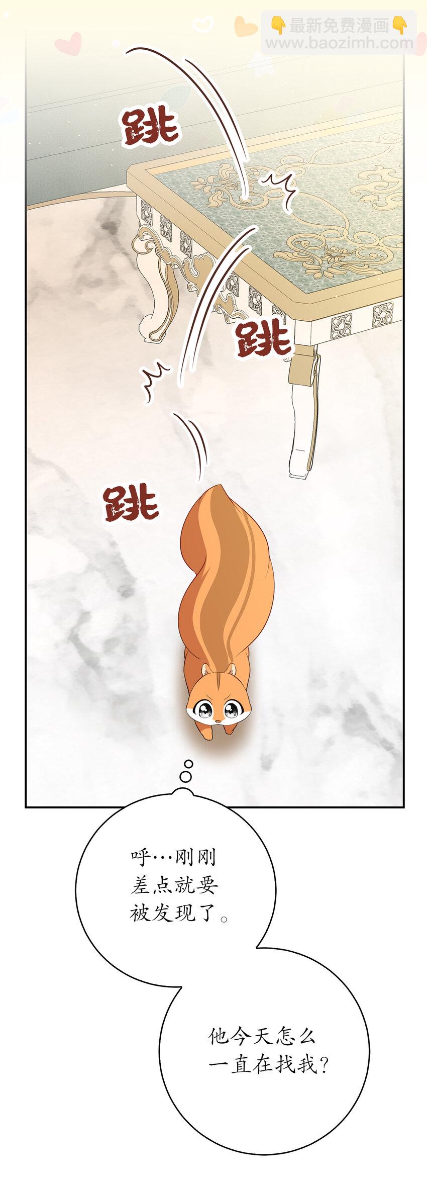 52 小松鼠的小秘密(1/2)-第53话