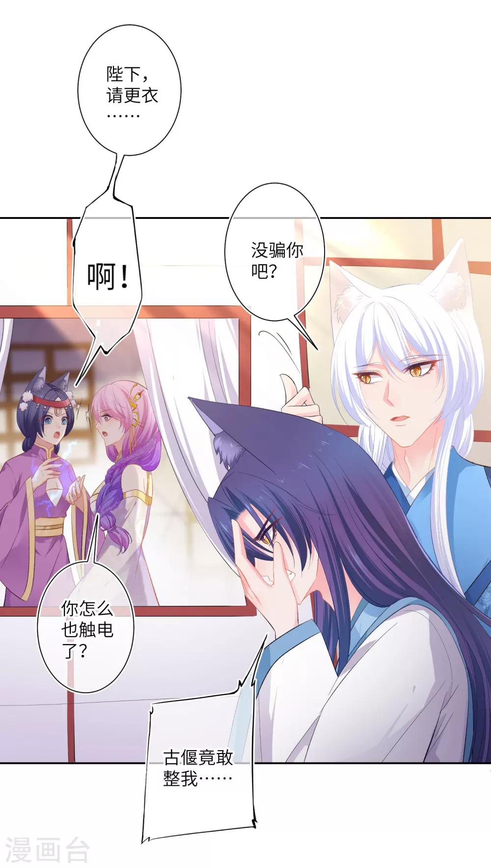 第141话 猫狼情敌大战！-第163话