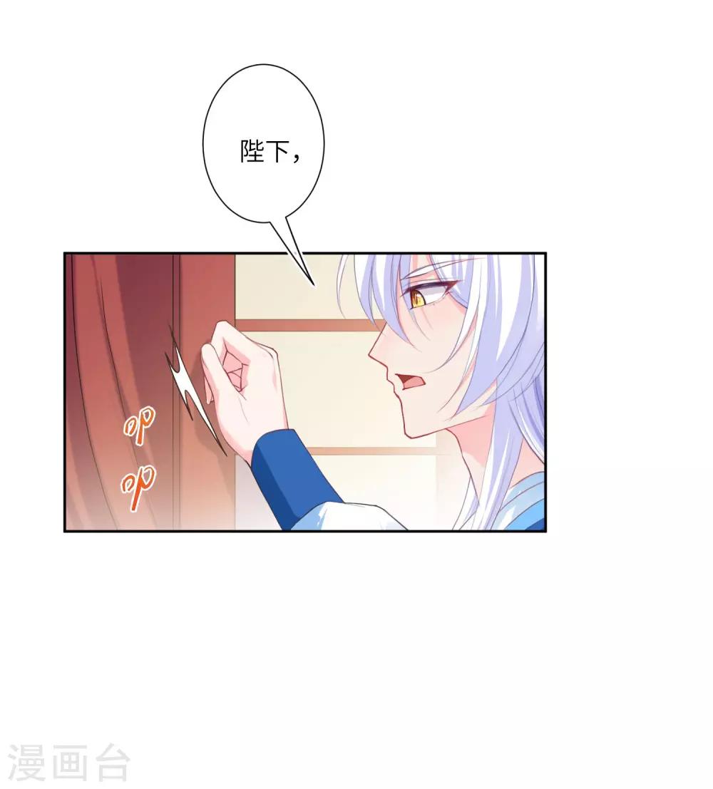 第141话 猫狼情敌大战！-第163话
