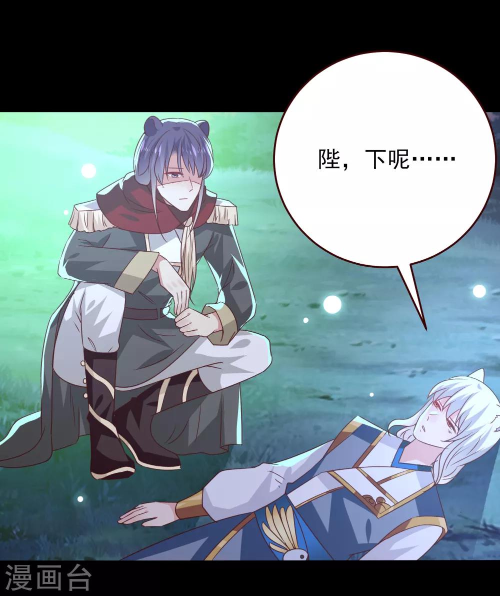 第49话 熊骑士到底想做什么？-第55话