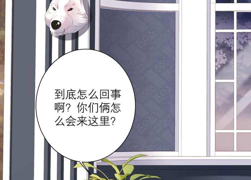 第46话 悄悄潜入(1/3)-第47话