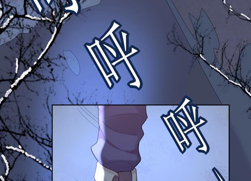 第76话 雪中的幻影(1/2)-第79话