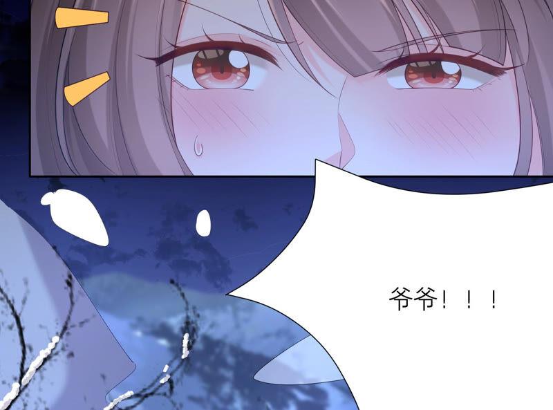 第76话 雪中的幻影(1/2)-第79话