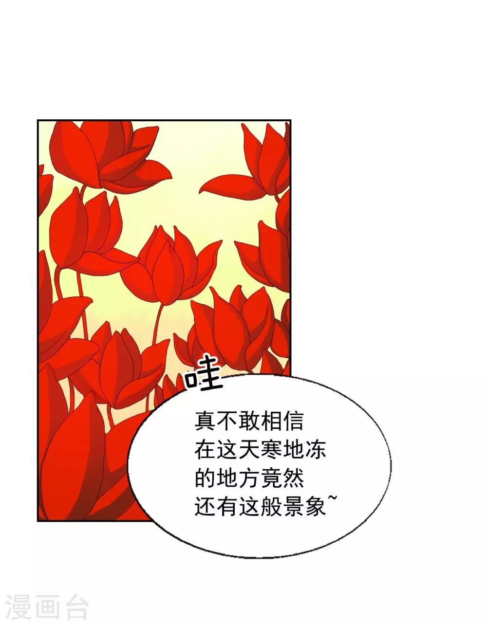 第14话(1/2)-第15话
