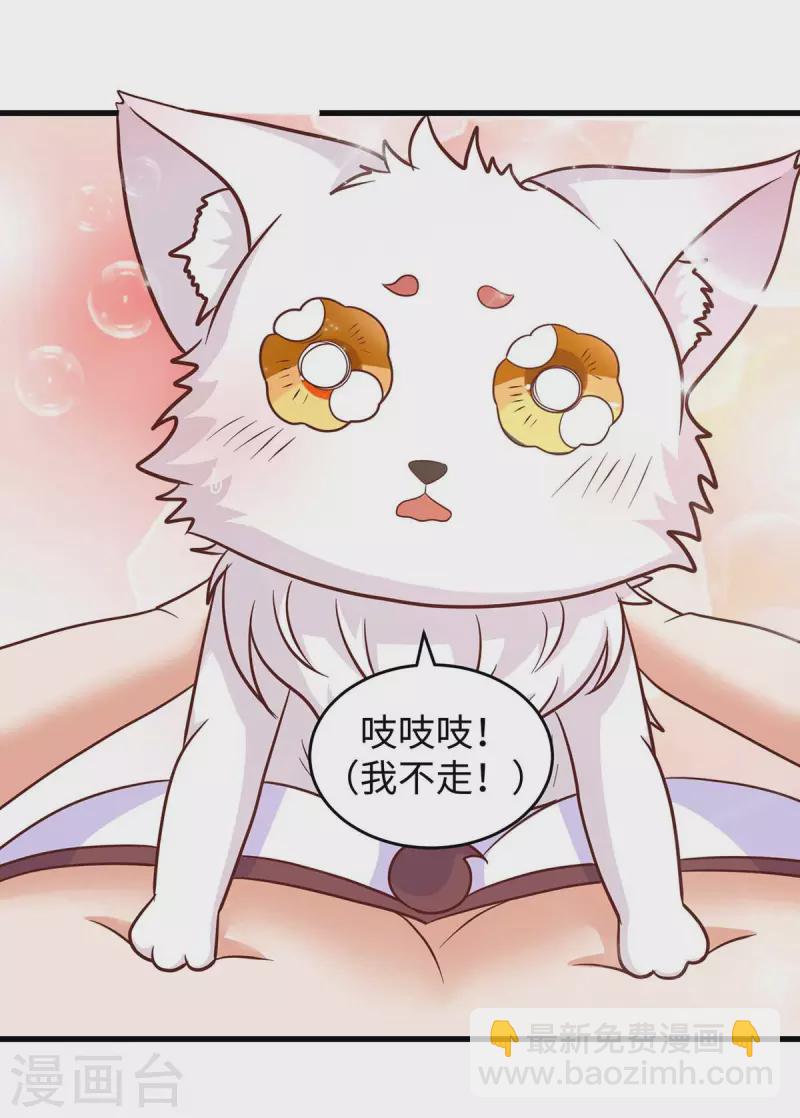 第65话 小白-第65话