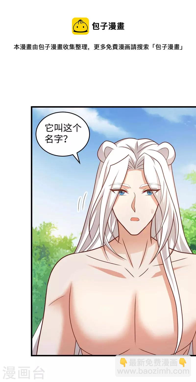 第65话 小白-第65话