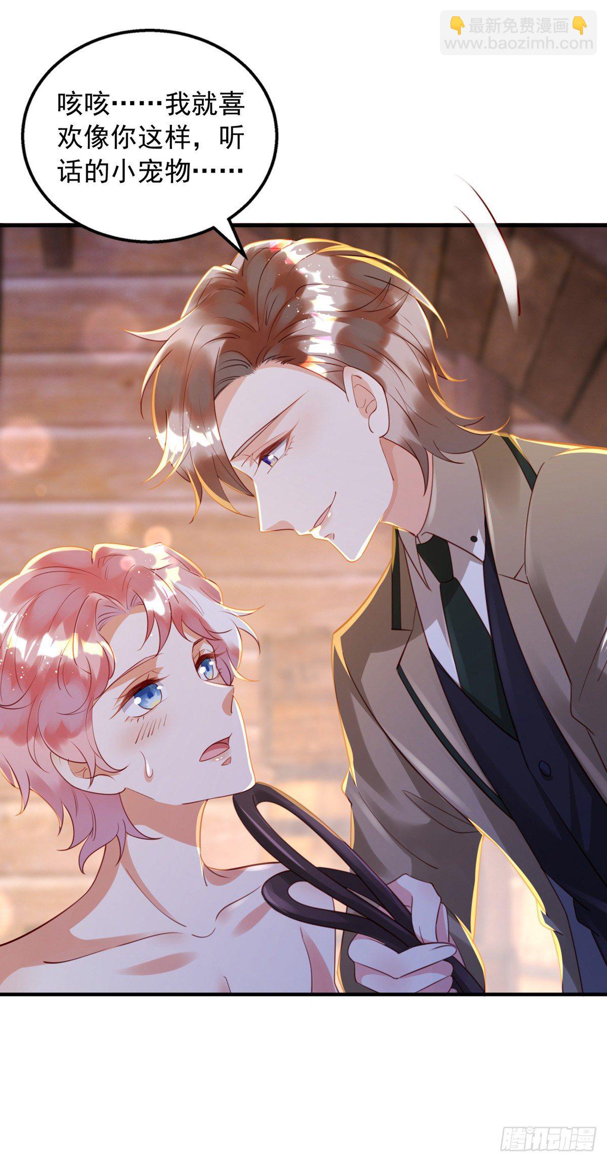 第31话 宠物-第31话