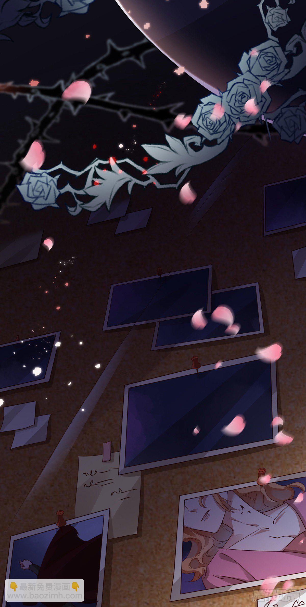 第31话 宠物-第31话
