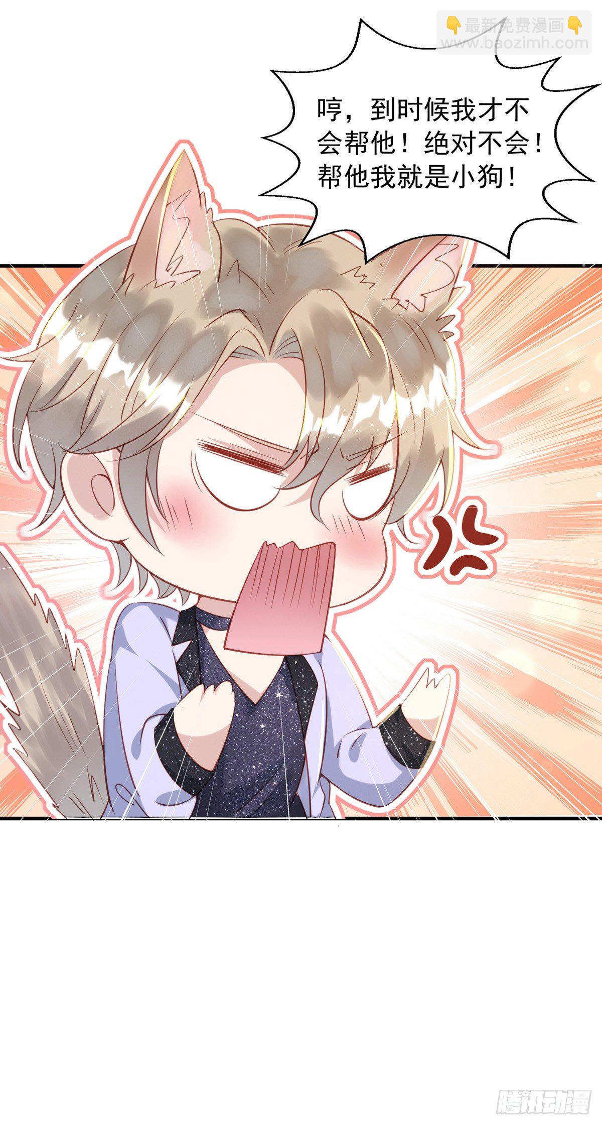 第31话 宠物-第31话