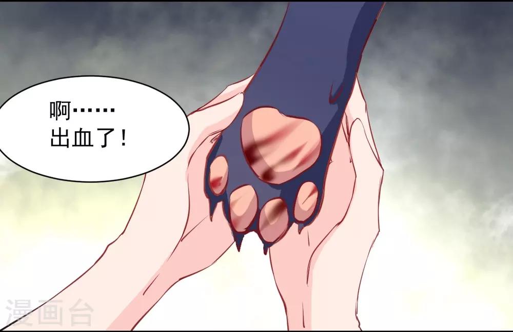 第53话 她是我的女人-第53话