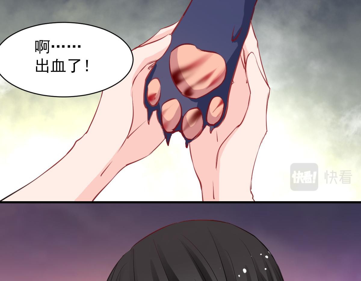 第53话(1/2)-第53话