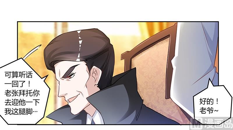 第119话 叶老爷子-第119话
