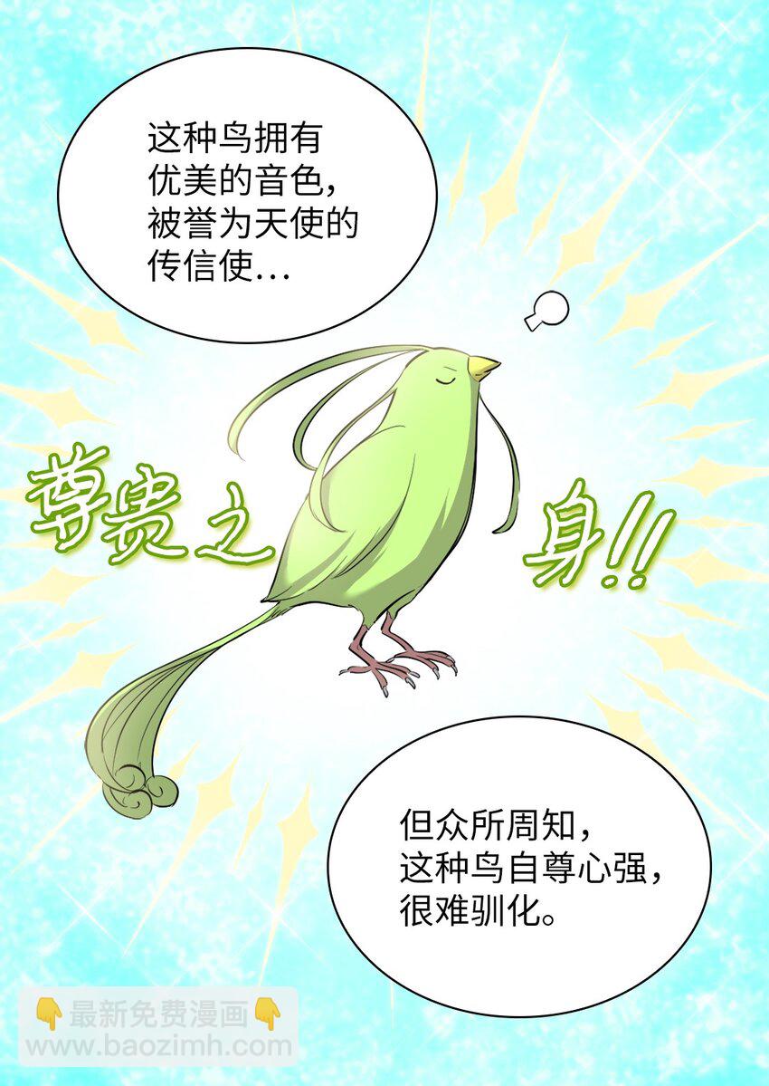 139 番外1 傲娇的小鸟(1/2)-第135话