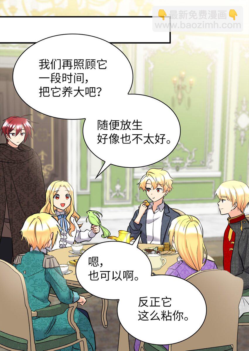 139 番外1 傲娇的小鸟(1/2)-第135话