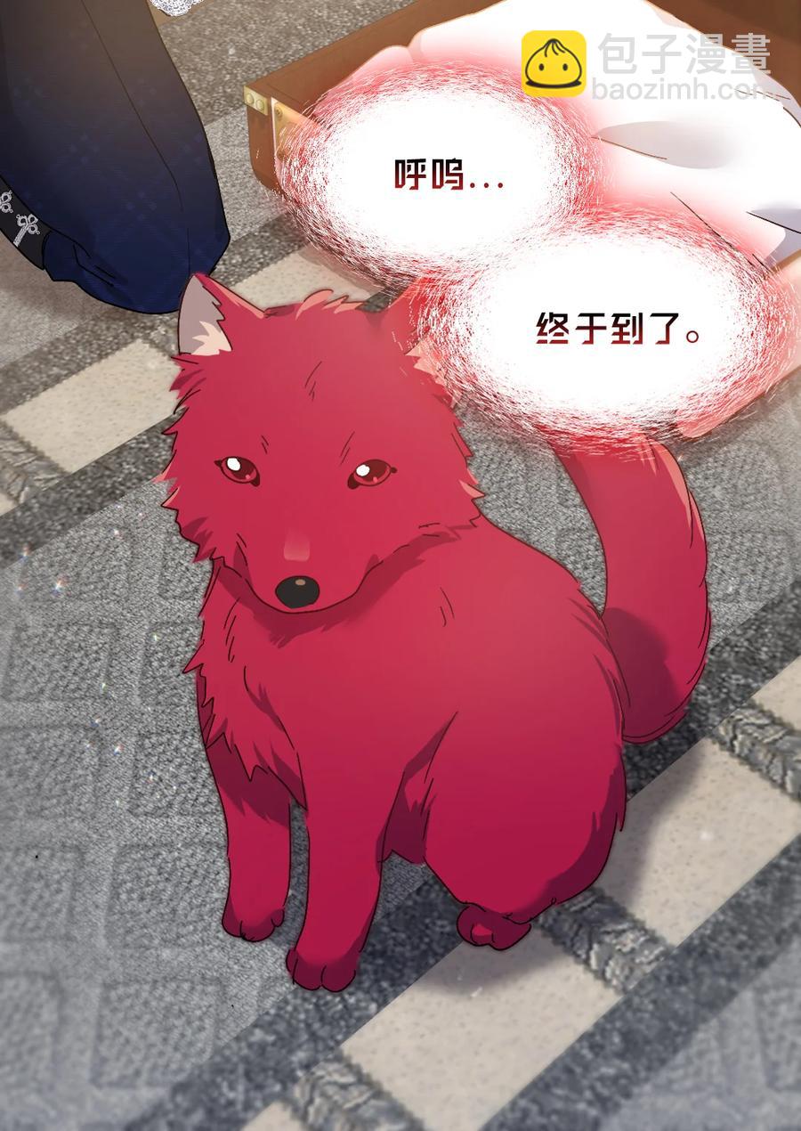 096 谁不喜欢毛茸茸(1/2)-第89话