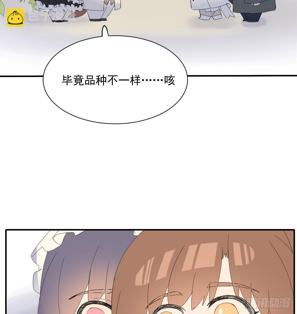去游园会！-第131话