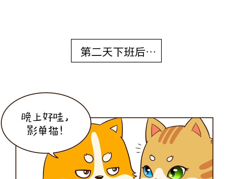 🍱书单狗的异想世界 我喜欢的女孩终于回应我了！ 第16页