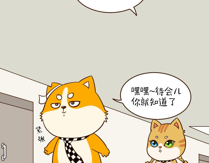🍱书单狗的异想世界 我喜欢的女孩终于回应我了！ 第18页