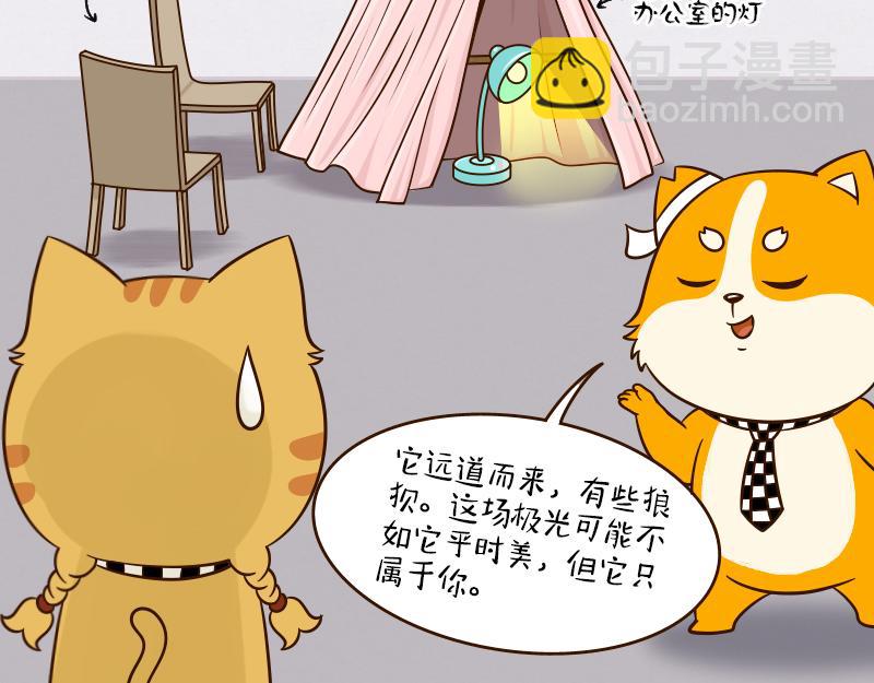 🍱书单狗的异想世界 我喜欢的女孩终于回应我了！ 第26页