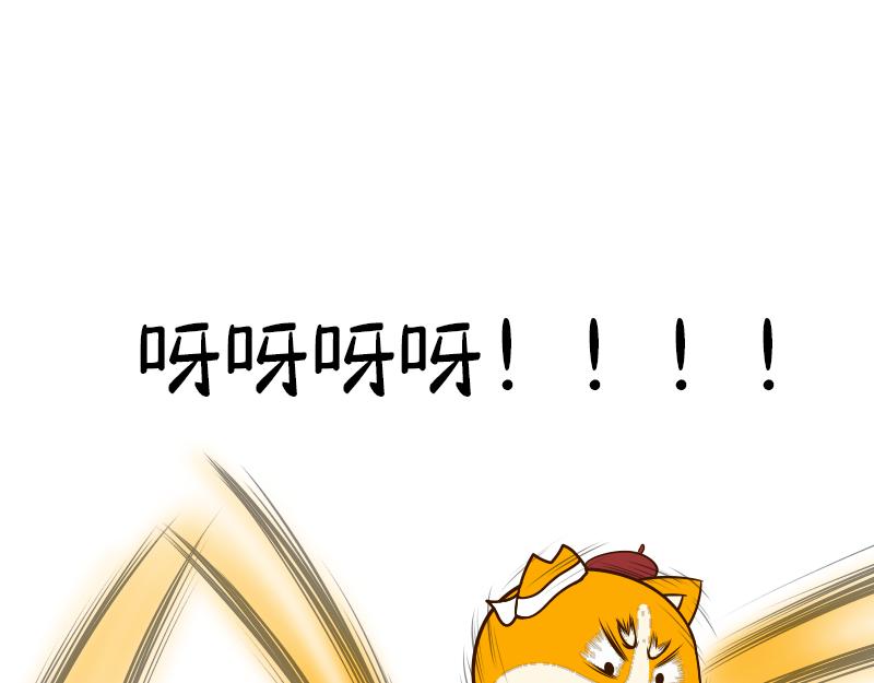 🍱书单狗的异想世界 真正的高手往往隐藏在街头··· 第15页