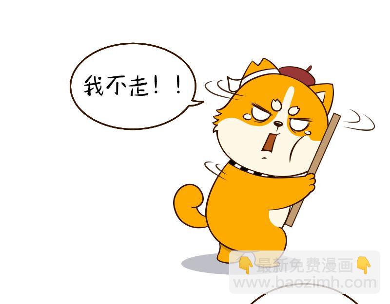 🍱书单狗的异想世界 真正的高手往往隐藏在街头··· 第36页