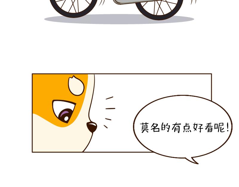 🍱书单狗的异想世界 真正的高手往往隐藏在街头··· 第40页