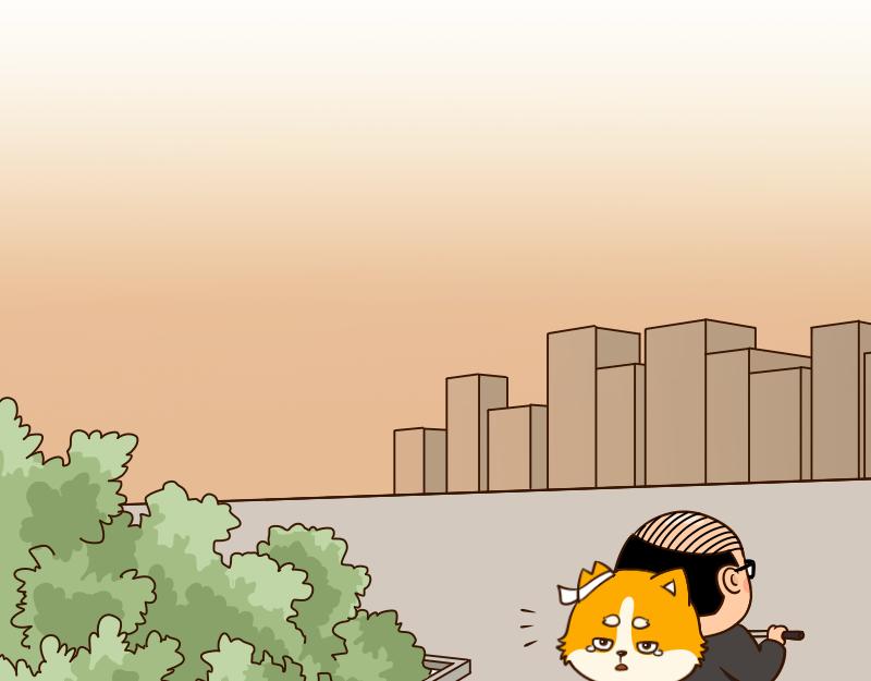 🍱书单狗的异想世界 真正的高手往往隐藏在街头··· 第42页