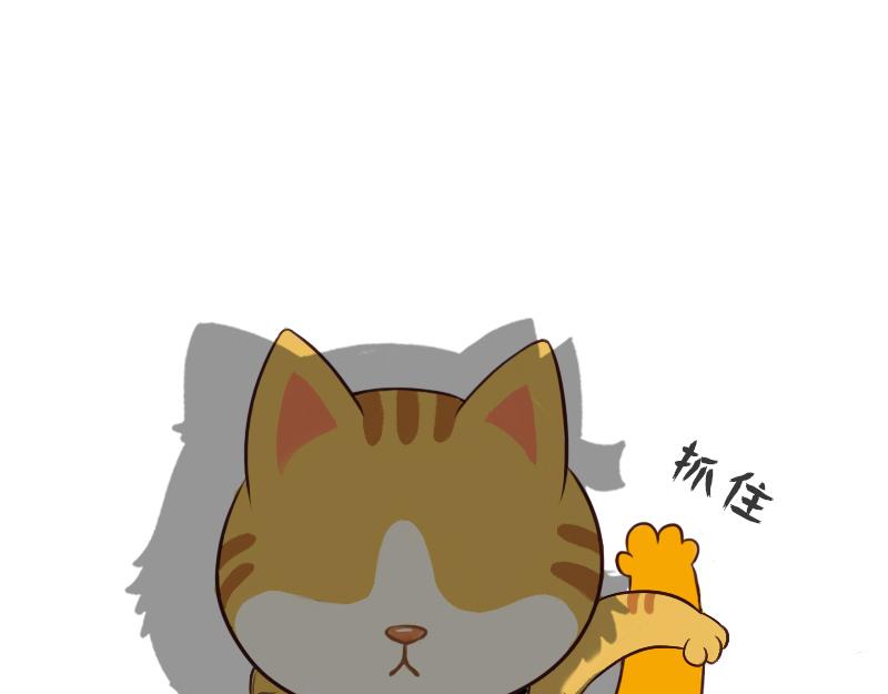 🍱书单狗的异想世界 史上最安全的表白套路！ 第12页