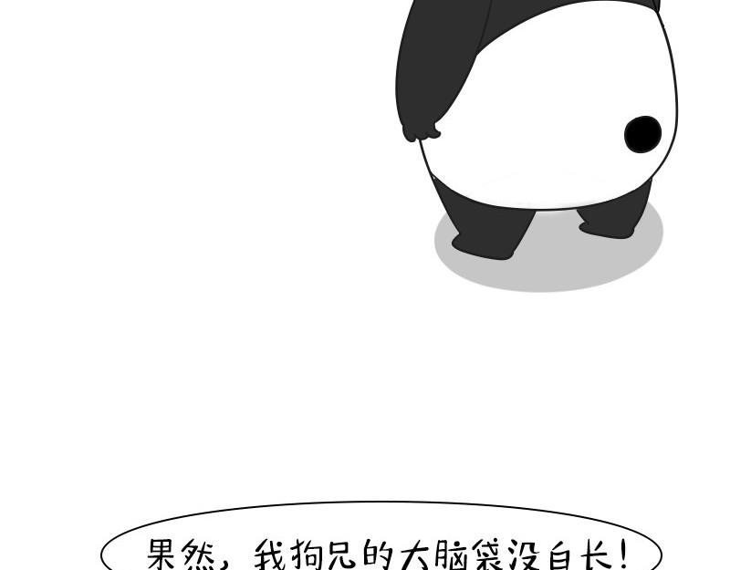 🍱书单狗的异想世界 想那啥想疯了 第20页