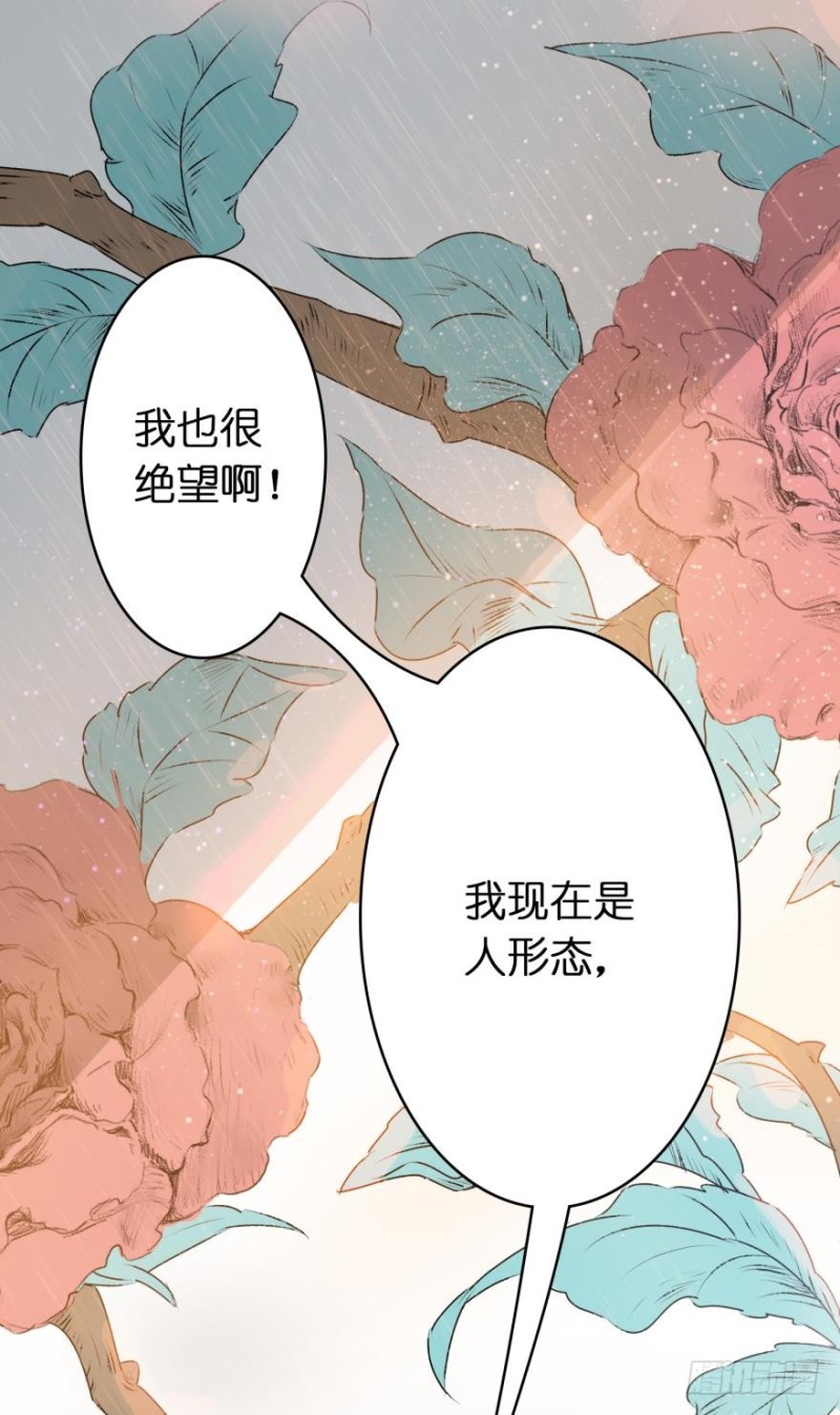 第五十三话-第53话