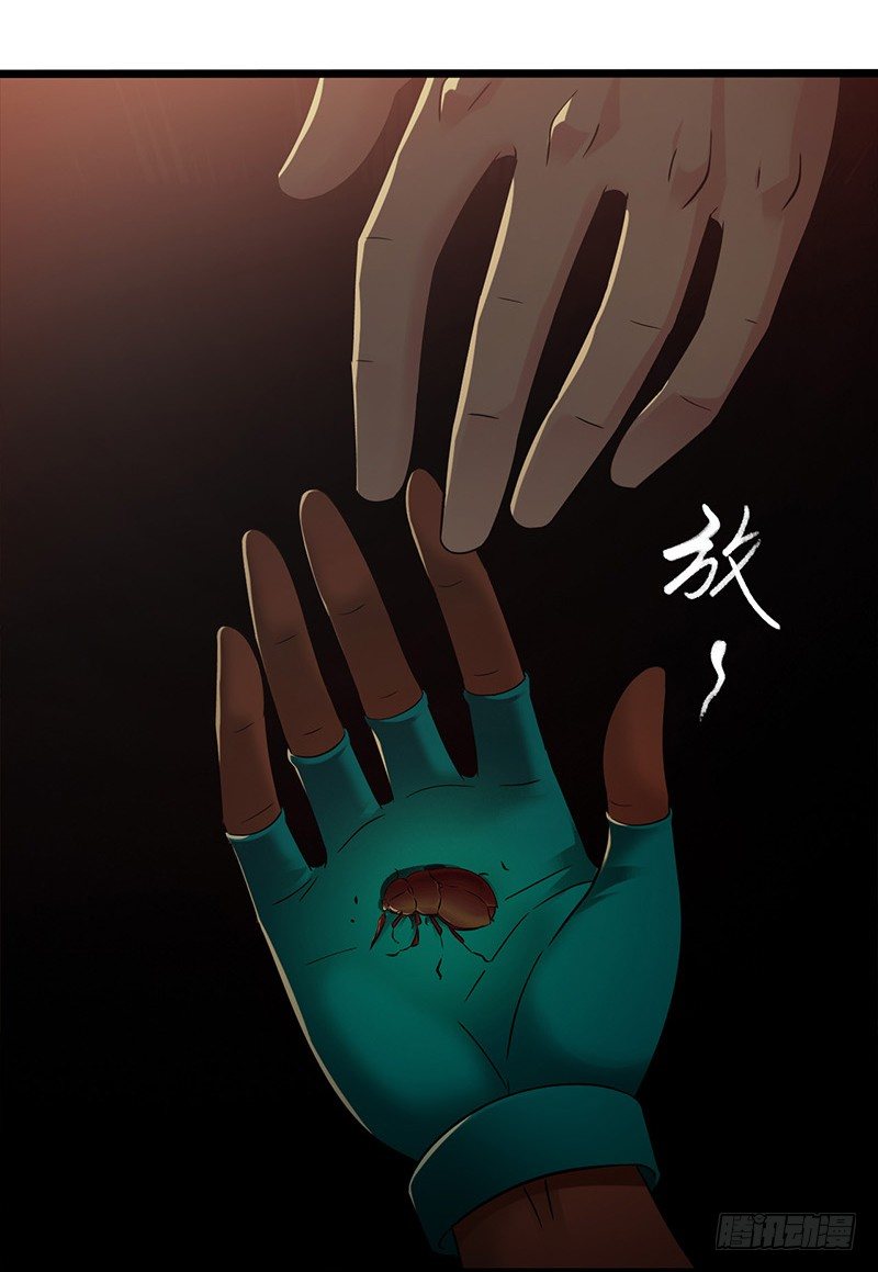 第7章 永生花7(1/2)-第67话