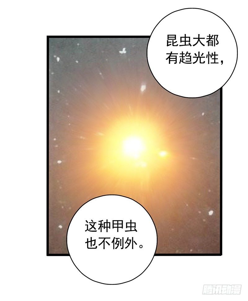 第7章 永生花7(1/2)-第67话