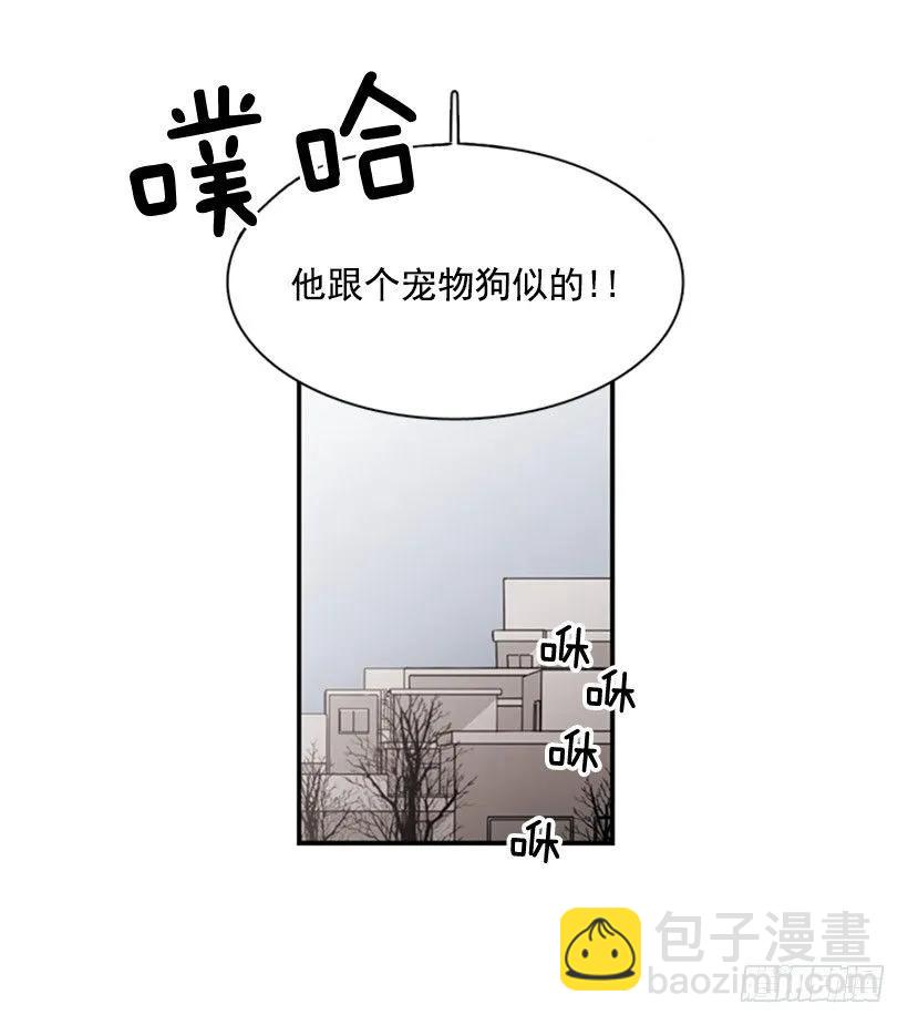 他回来了(1/2)-第97话