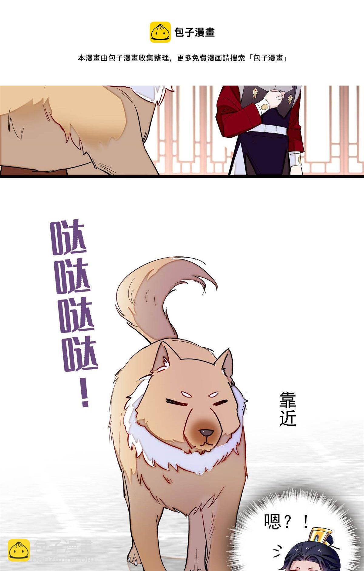 第238话 惦记我老婆？找死！(1/2)-第241话