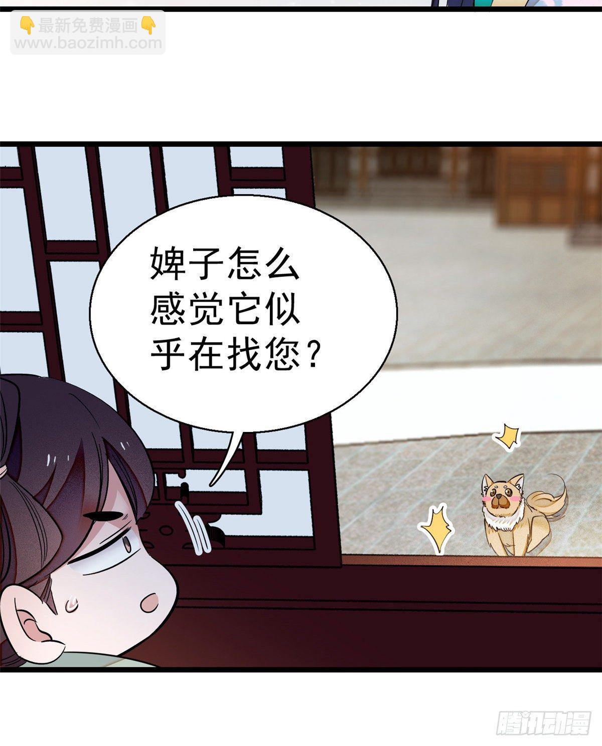 第35话 连条狗都打不过(1/2)-第37话