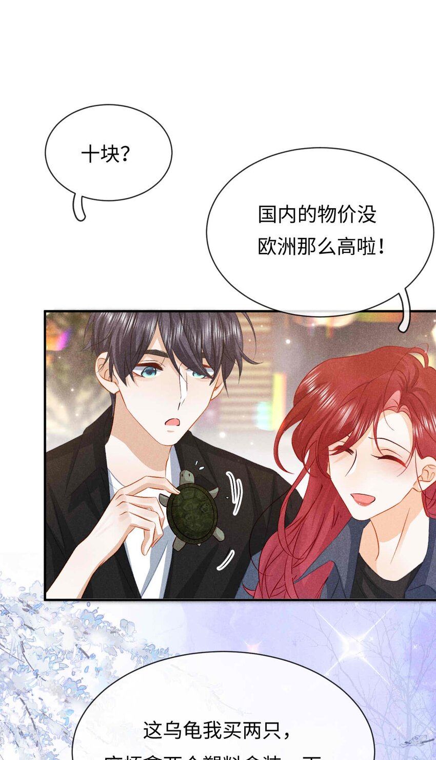 034 第三十四话 呆呆和笨笨-第37话