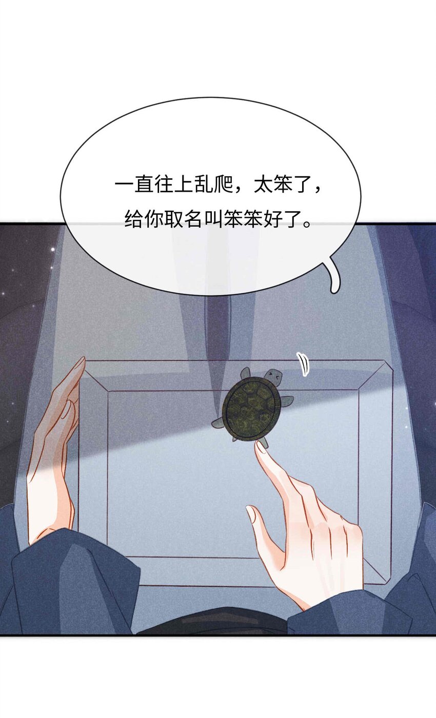 034 第三十四话 呆呆和笨笨-第37话