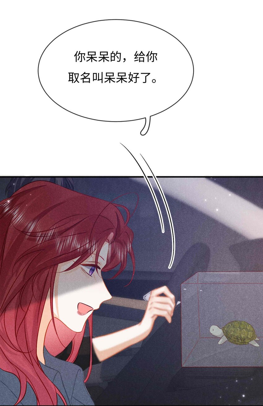 034 第三十四话 呆呆和笨笨-第37话