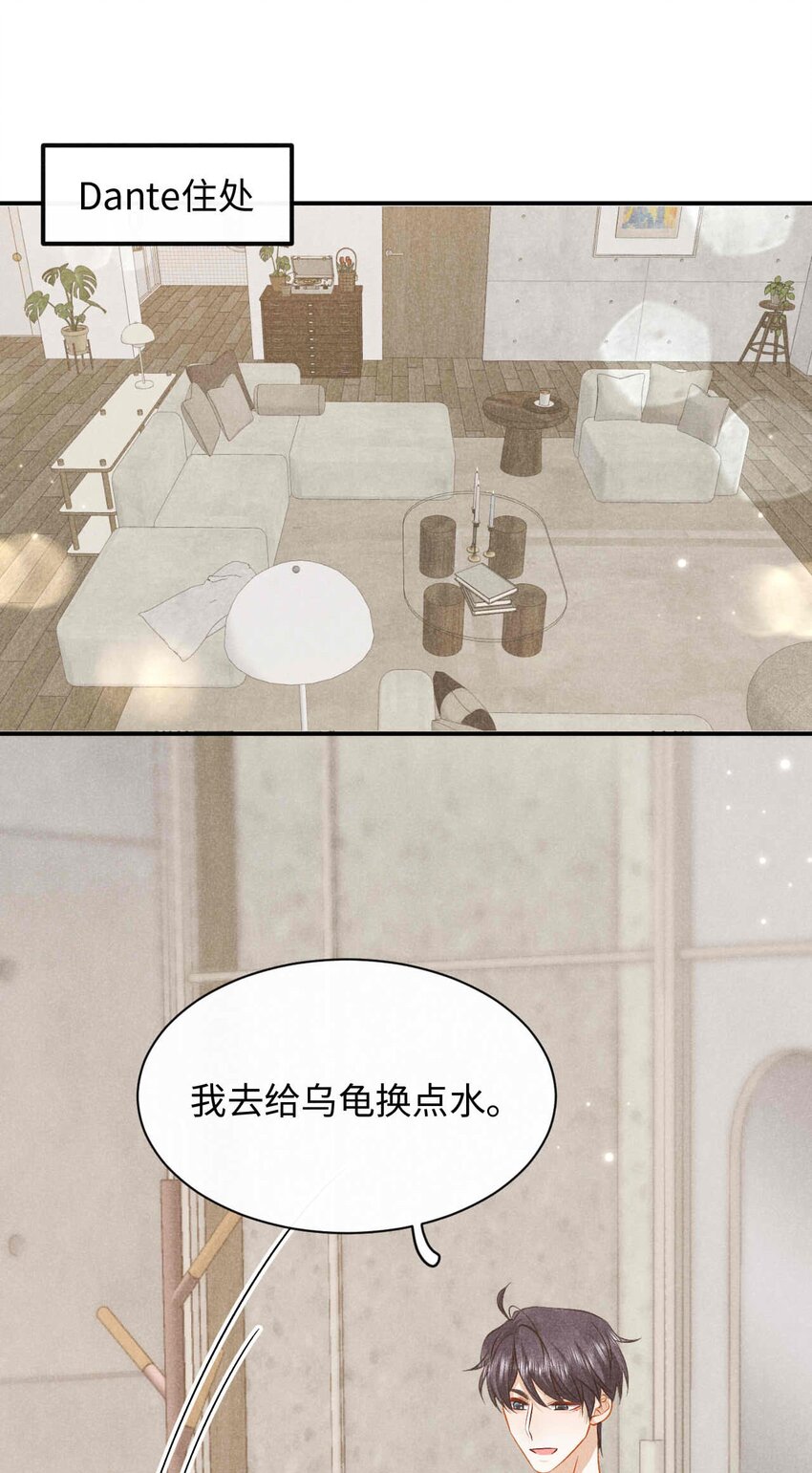 034 第三十四话 呆呆和笨笨-第37话