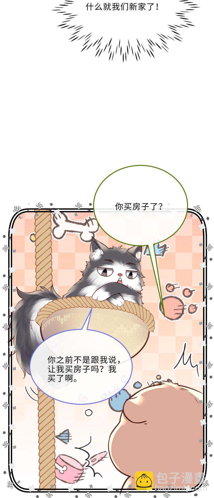 080 金总的行动力真强啊！-第85话