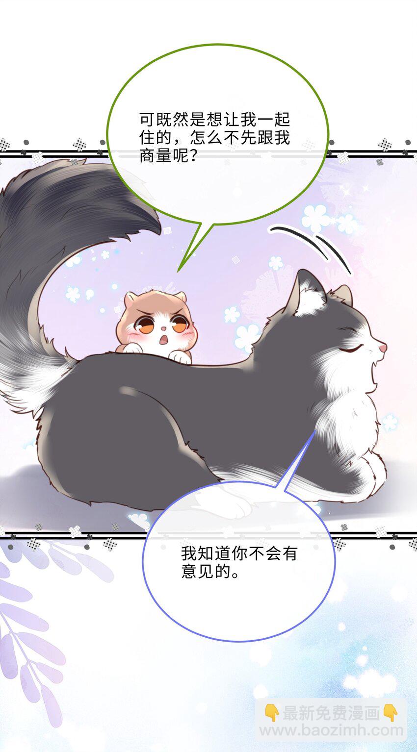 080 金总的行动力真强啊！-第85话