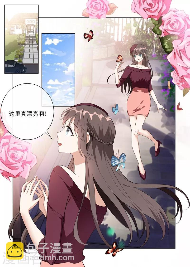 🍱司少你老婆又跑了 第218话 少帅的金屋藏娇计划 第2页