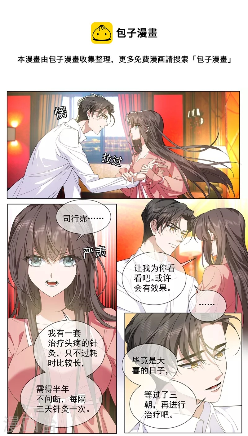 🍱司少你老婆又跑了 第439话 老宅的梅花树下 第1页