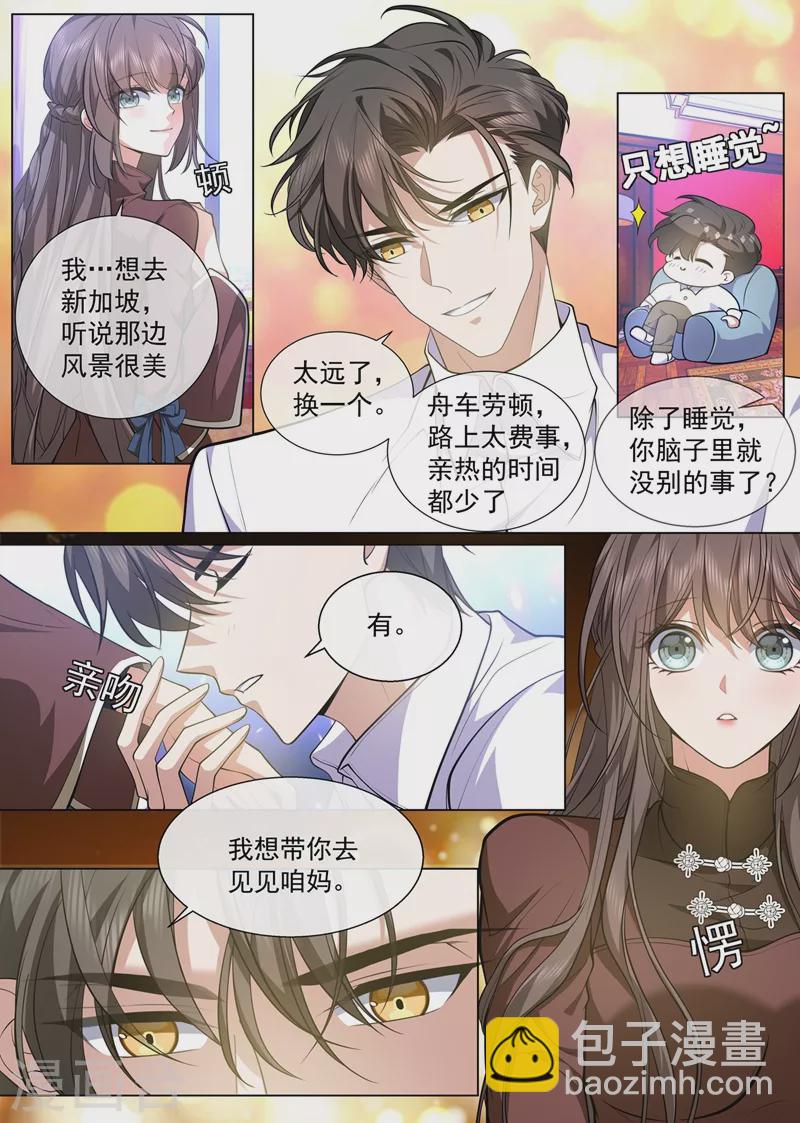 🍱司少你老婆又跑了 第439话 老宅的梅花树下 第3页