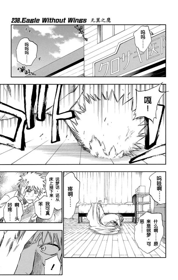 🍱死神/境·界【快】 第238话 无翼之鹰 第1页