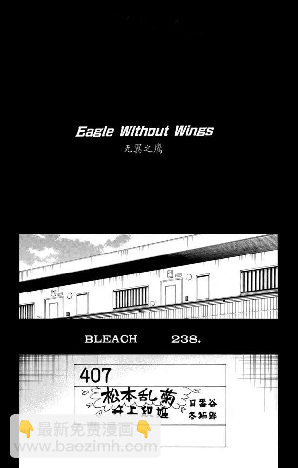 🍱死神/境·界【快】 第238话 无翼之鹰 第4页