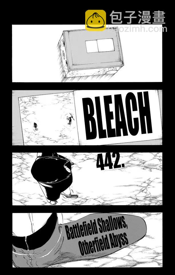 🍱死神/境·界【快】 第442话 只有战场是浅滩，其他地方都是深渊 第10页
