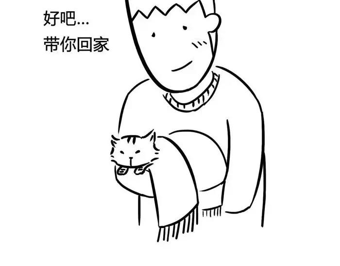 🍱素菜包 丧哥系列 | 养猫第一天 第10页